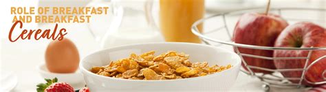Role of Breakfast & Breakfast Cereals | MyNestlé
