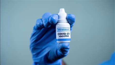 What Is A COVID 19 Nasal Vaccine The Hindu