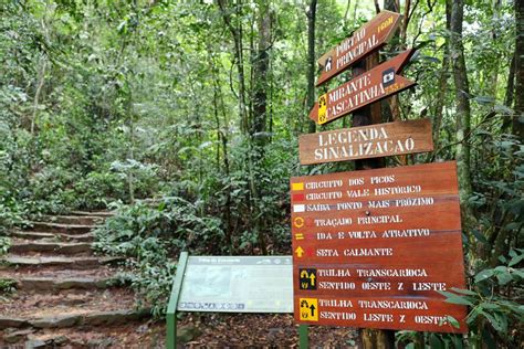 Trilha Na Floresta Da Tijuca A Jungle Me Vivi Na Viagem