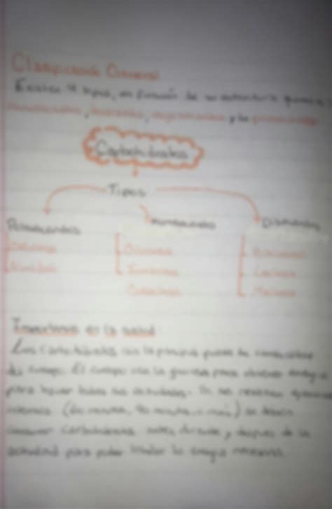 SOLUTION Hidratos De Carbono Clasificaci N Y Funciones Studypool