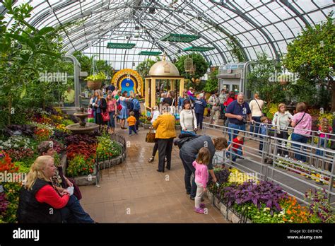 People At Krohn Conservatory Butterflies Of Morocco Show In Cincinnati