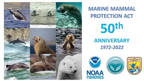 50th Anniversary Video Testimonials Marine Mammal Commission