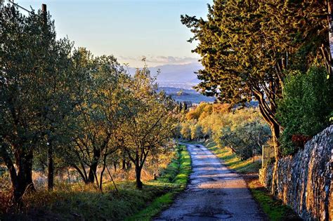 Capodanno Borghi Toscani Vigneti Chianti Alla Fine Di Un Viaggio