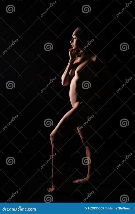 Brunette Nude In Shadow Stock Image Image Of Topless 162935569