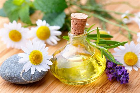 Косметические экстракты… делаем сами.