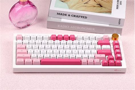 EPOMAKER AKKO B Plus Gasket Hot Swappable Mechanical Gaming Keyboard EUR PicClick IT
