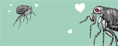 ways   sweetheart  book   blog
