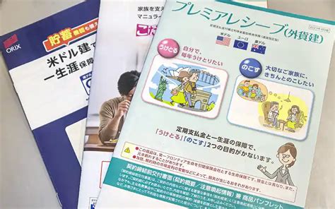 いまさら聞けない時事用語 外貨建て一時払い保険 ニッキンonline