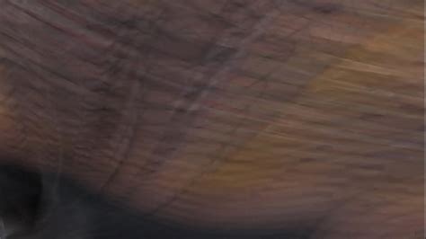 Marcella Videos XVIDEOS