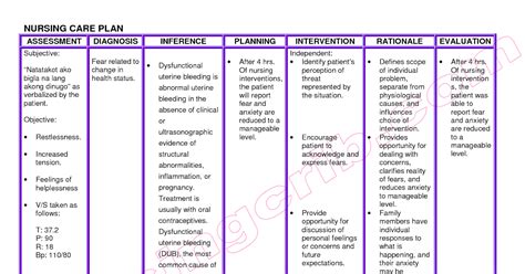 Nanda Nursing 25 Nursing Care Plan Nanda List