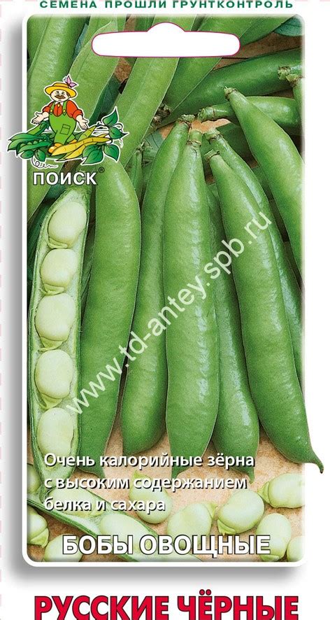 Бобы овощные Русские черные (ЦВ) 10шт.