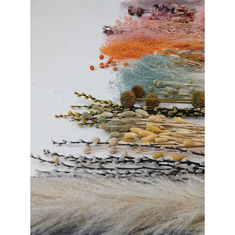 Dried Natural Pussy Willow Bunch Colors