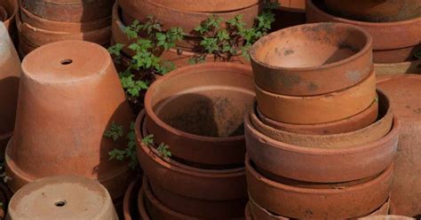 I Vasi Di Terracotta Vanno Puliti Ecco Come Fare