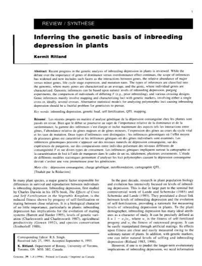 Inferring the genetic basis of inbreeding depression in plants