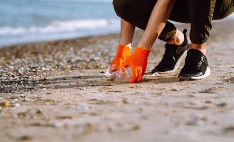 Sustainability measures will protect sea cliff beach for years 19