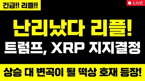 리플 미쳤습니다 난리났다 리플 트럼프 Xrp 지지결정 대박입니다 상승 대 변곡이 될 떡상 호재 등장 리플 리플코인