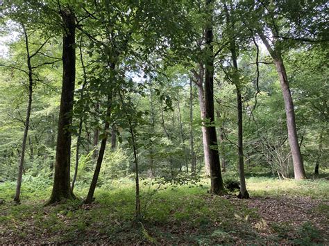 Nouveaux Territoires Grand Est Et Bourgogne France Comt L