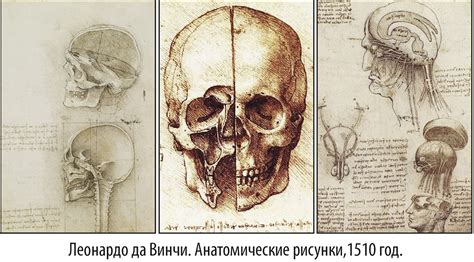 Ортопантомография