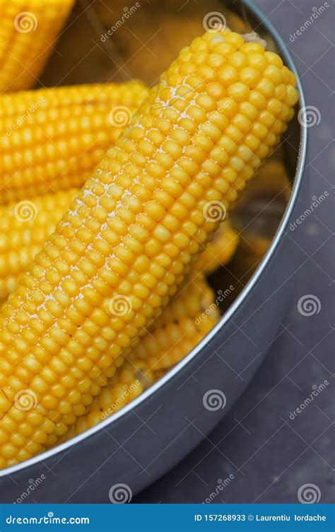 Fresh Steamed Corn Stock Image Image Of Cuisine Steamed 157268933