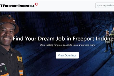 Freeport Buka Lowongan Kerja Hingga November Simak Persyaratannya