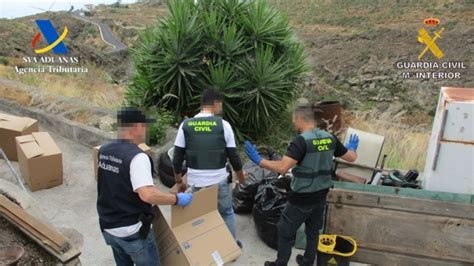 La Guardia Civil Desarticula En Tenerife Un Grupo Criminal Por Cultivo