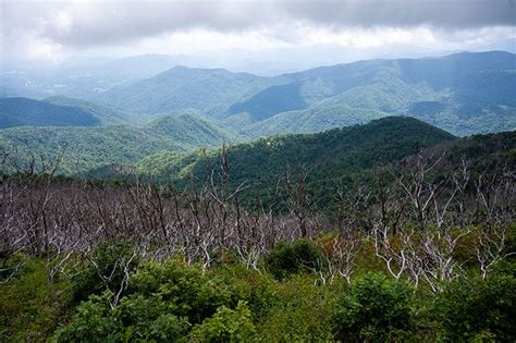 Wayah Bald Tower The Best Mountain Views In Franklin Nc