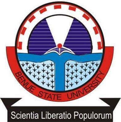BSU Portal News | How To Login And Check portal.bsum.edu.ng
