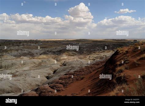 Petrified Forest Arizona Stock Photo - Alamy