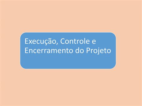 Solution Controle E Monitoramento De Projetos Studypool