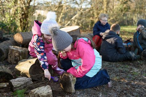 Danescourt Primary School - Forest Schools