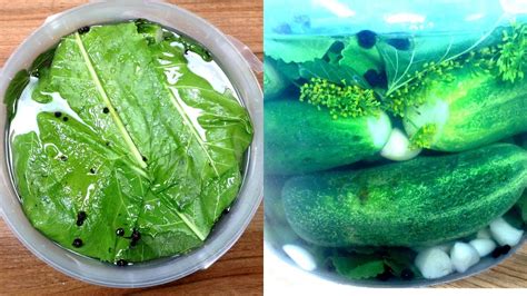 Малосольные огурцы! Очень вкусный рецепт! Много, кто так готовит! - YouTube