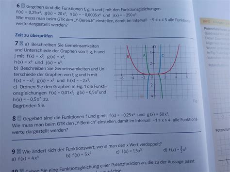 Gemeinsamkeiten und Unterschiede der Graphen? (Schule, Mathematik, Physik)