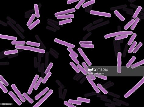 Microscopic Xray View Of Clostridium Perfringens Bacteria Ilustración