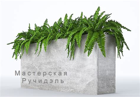 Кашпо-перегородки и кашпо напольные для кафе, офиса, дома высокие кашпо ...