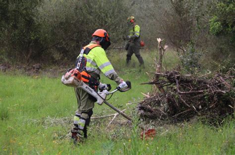 Acció Climàtica prepara els massissos ebrencs contra els incendis