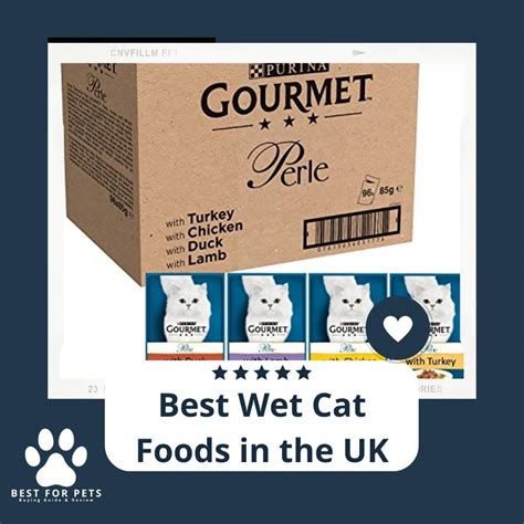 15 Best Wet Cat Foods In The Uk In 2023