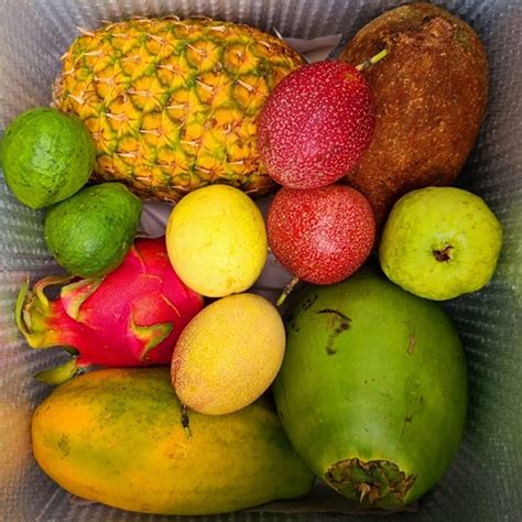 Tropical Fruit Boxes at Tropical Fruit Box [Order Here] - Tropical