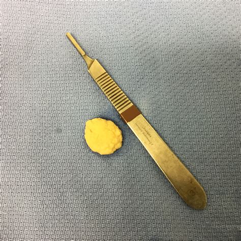Peaches and the Case of the Bladder Stones - Vet In Lebanon | Lebanon