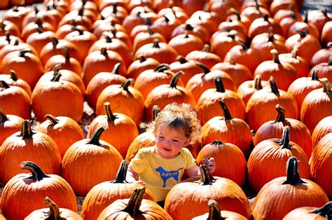 Weekend weather: What you need to know for every activity you have planned