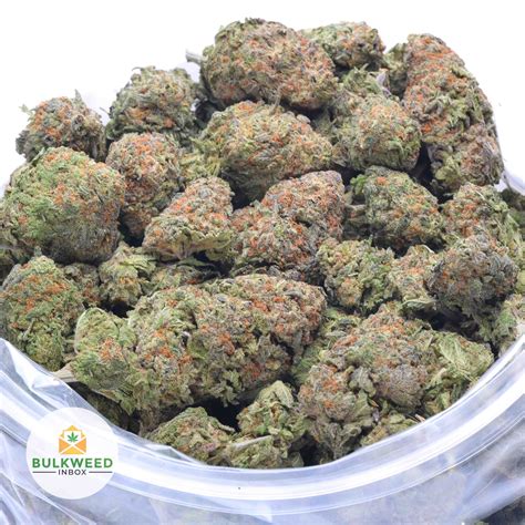 Alaskan Thunder Fuck Aa Cheap Weed Bulkweedinbox