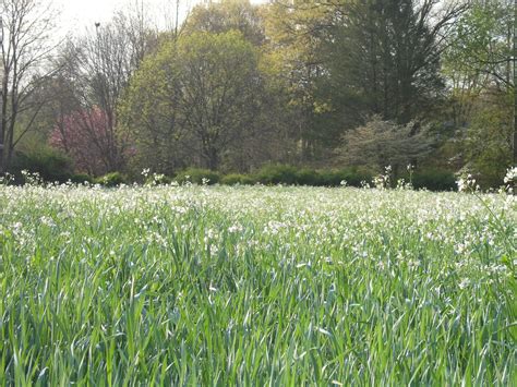 Oakey's Funeral... - Oakey's Funeral Service & Crematory