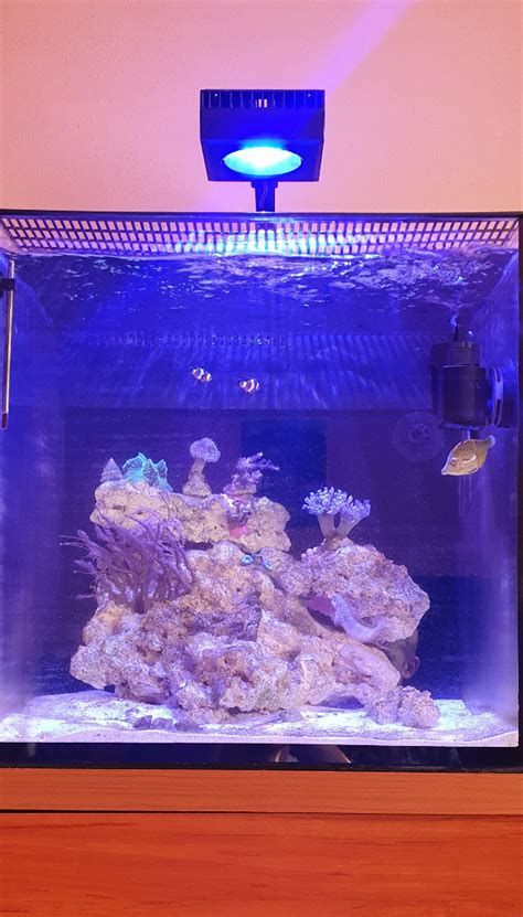 Akwarium morskie Red Sea Max Nano Reef System 75l Łodygowice Kup