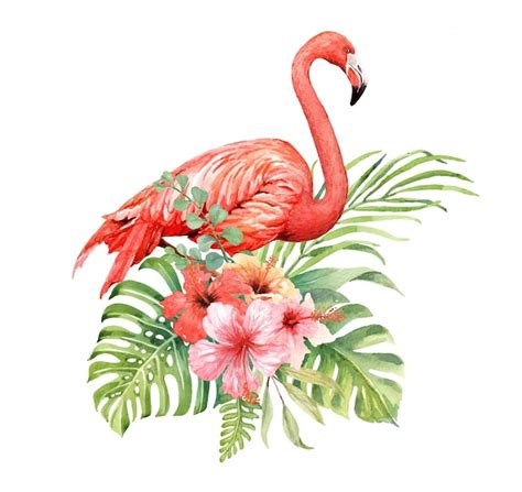 Premium Vector Watercolor Flamingo In Hibiscus Bouquet