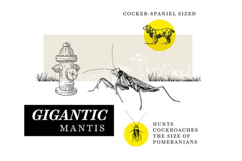 What will animals of the future look like? We asked 7 scientists. | Vox