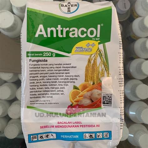 Jual Fungisida Bayer ANTRACOL 70WP 250gr Shopee Indonesia