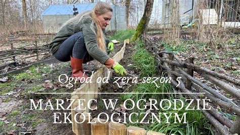 Prace ogrodowe w marcu w rabatach kwiatowych Ogród od zera s05 YouTube