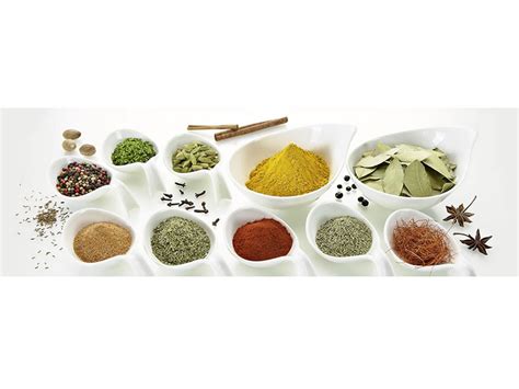 “Kotanyi” u Srbiji proizvodi za Rusiju – Pluton Logistics