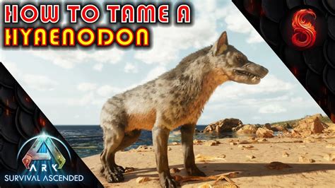 Ark Survival Ascended How To Tame A Hyaenodon Youtube