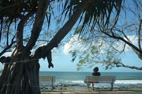 Mooloolaba Beach Mooloolaba, Sunshine Coast, Veins, Travel Around, The Good Place, Australia ...