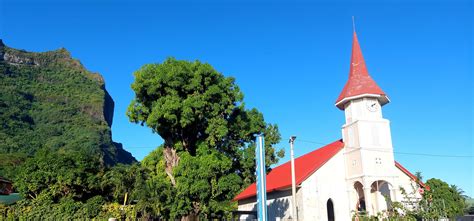 Бора-Борр | Пикабу